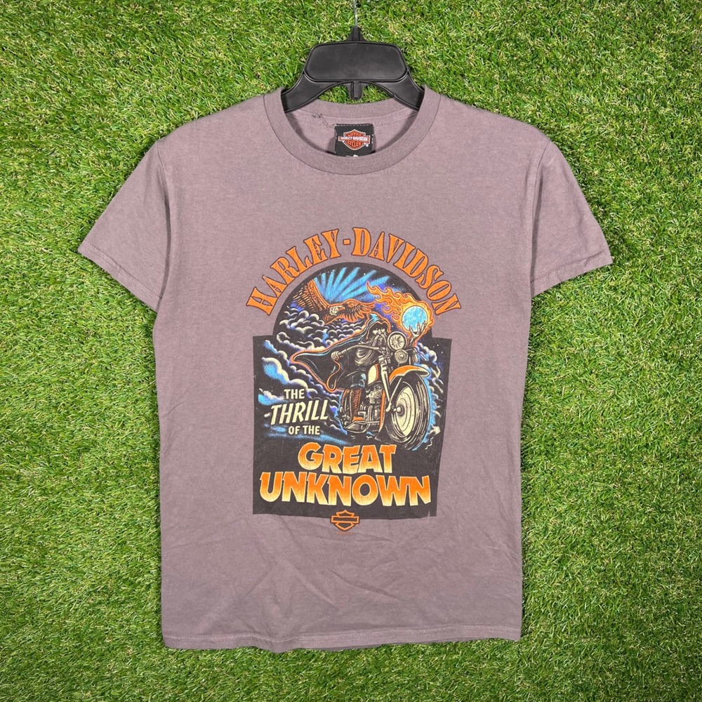 Harley Davidson T Shirt Mens Small Gray Beartooth Pass Montana Great Unknown‎